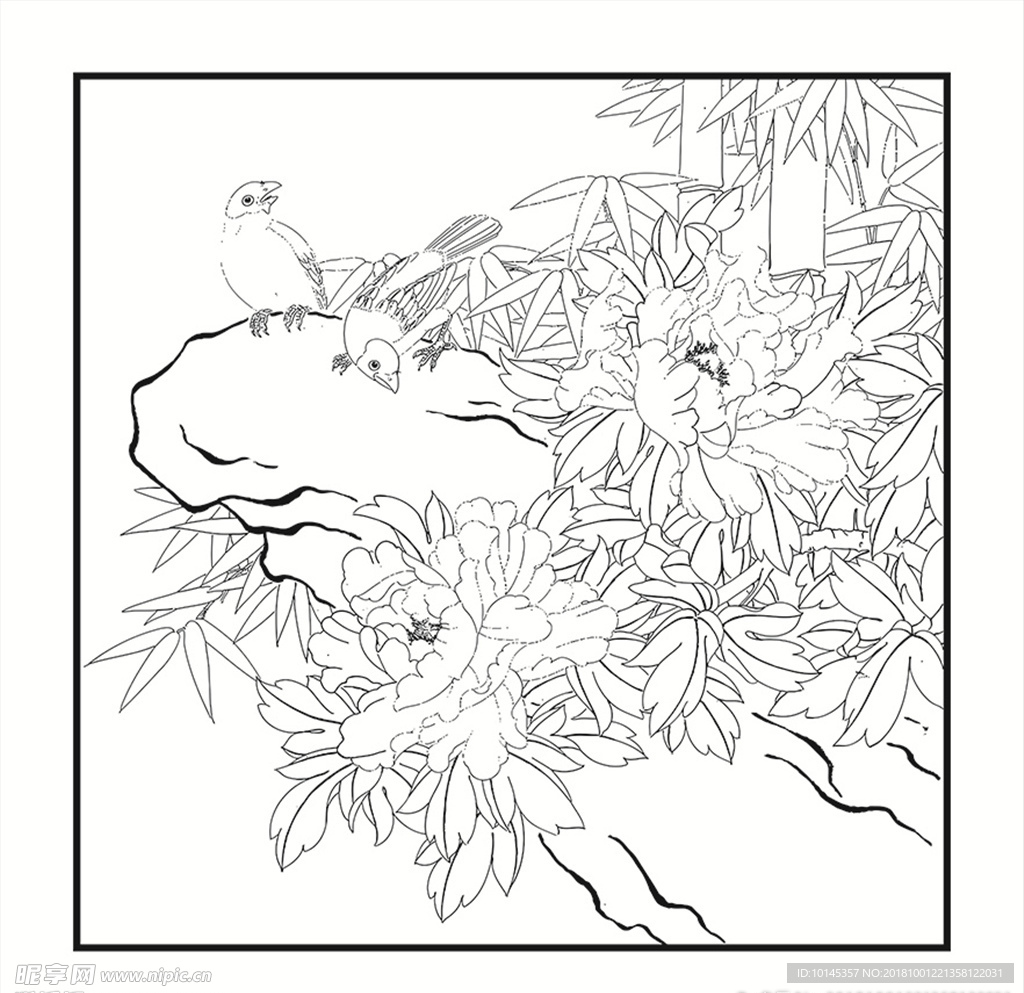 花鸟