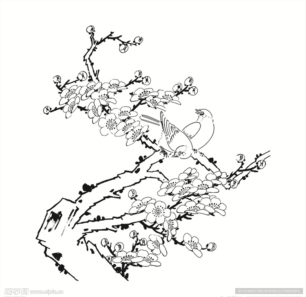 花鸟