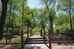 公园里的木桥栏杆