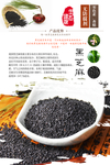 黑芝麻彩页