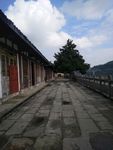 阆中旅游 阆中印象 四川印象