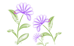 花