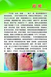 贴药