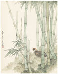 赵昊作品