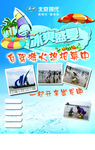 冰爽盛夏海报