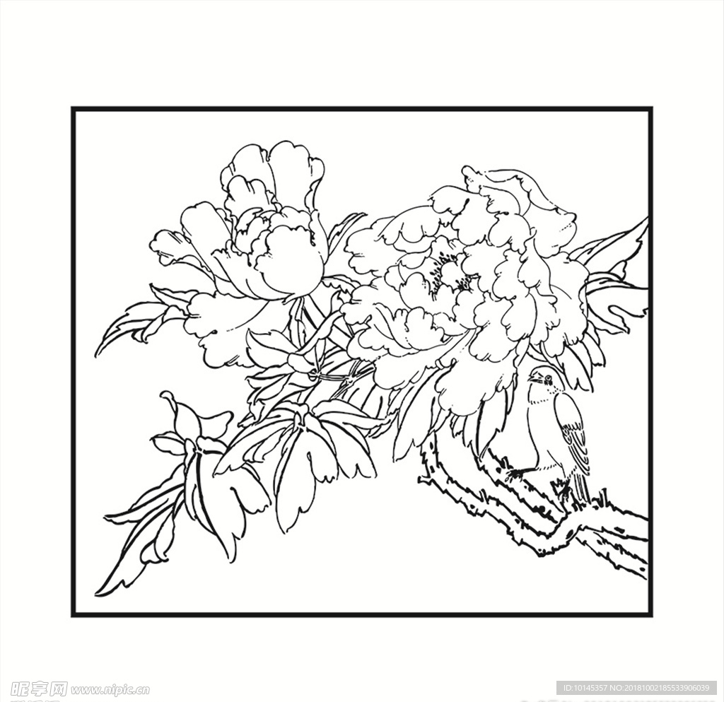 花鸟