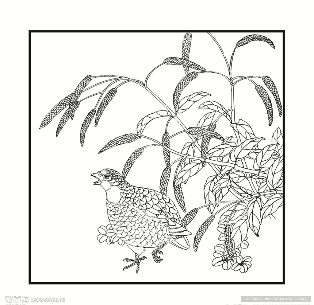 花鸟