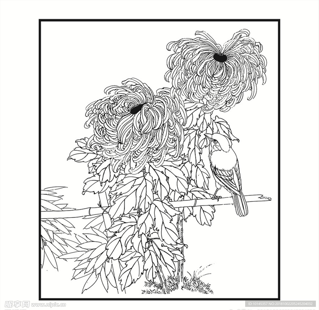 花鸟