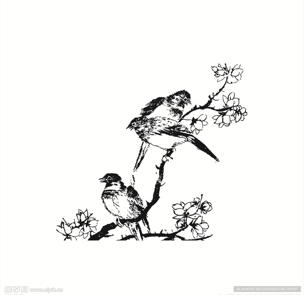 花鸟