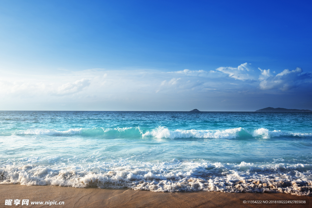 大海