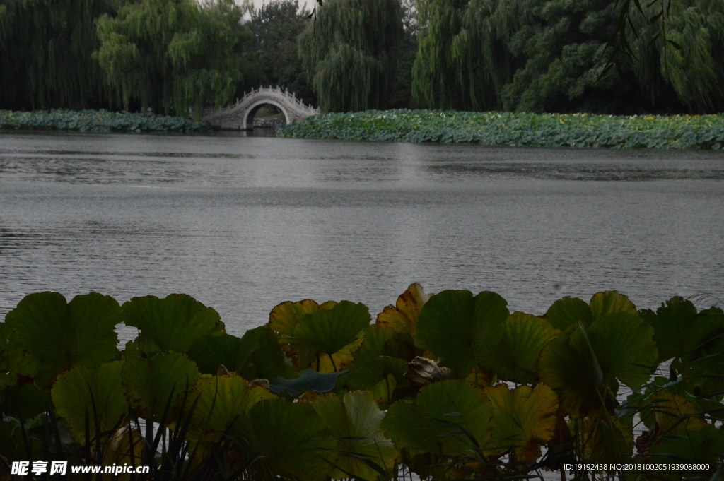 阴雨圆明园