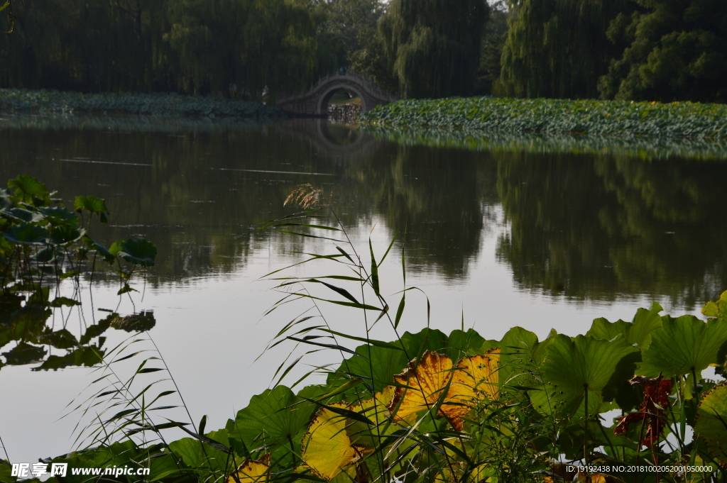 圆明园风景