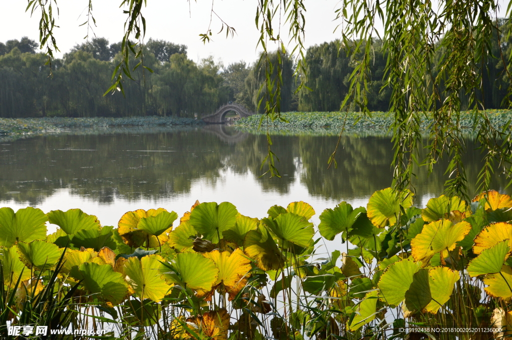 圆明园风景