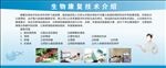 中华寿豆粉