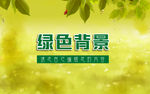 绿色背景