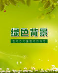 绿色背景
