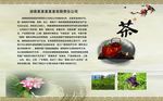 茶叶 茶壶 灰色背景 荷花