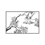 花鸟