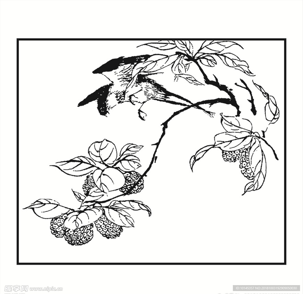 鸟与果实