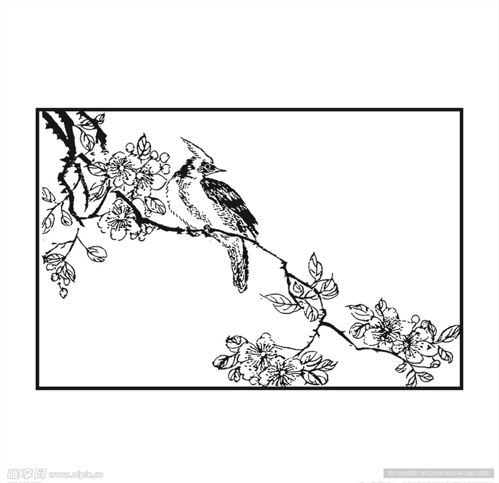 花鸟