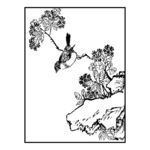 鸟