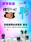 招聘  职等你来