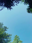不一样的天