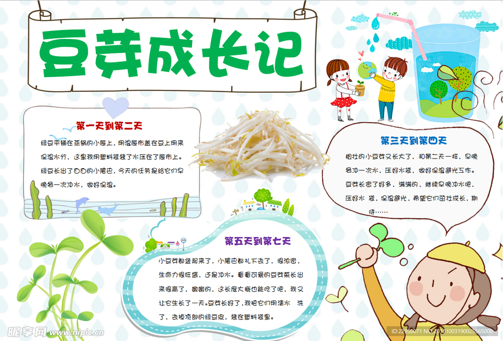 观察小报