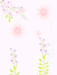 花纹