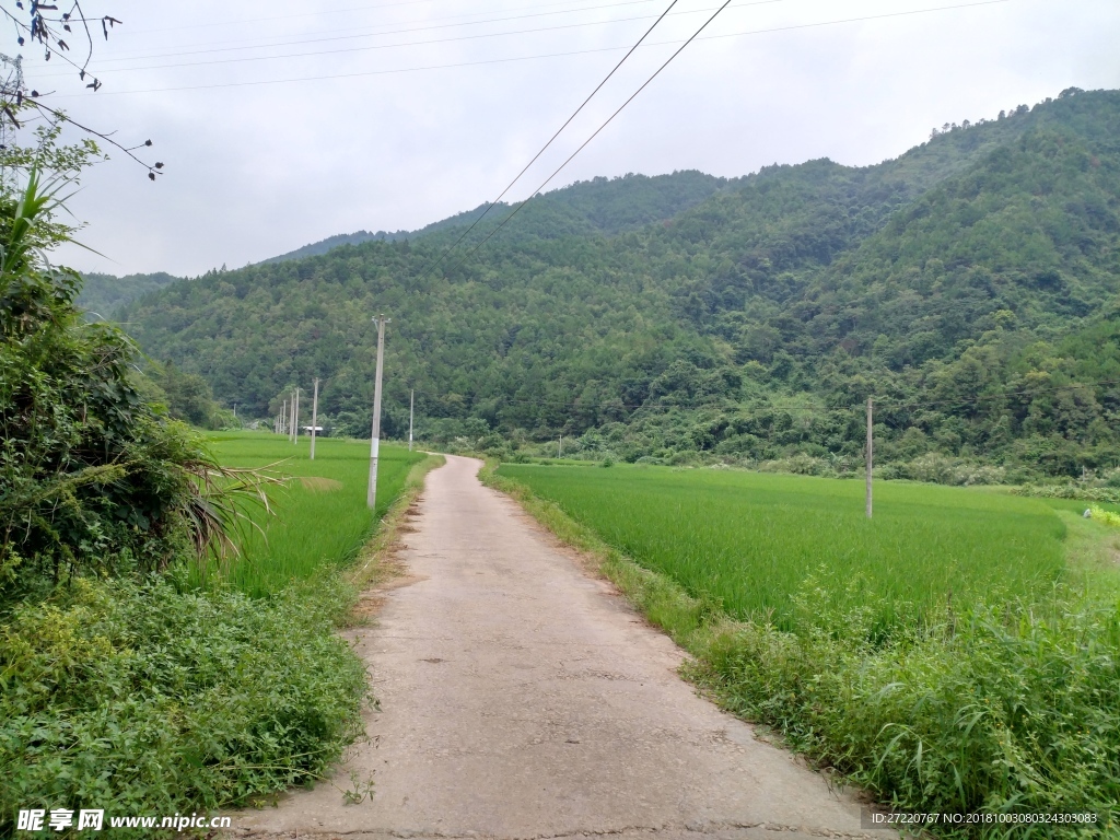 乡间小路