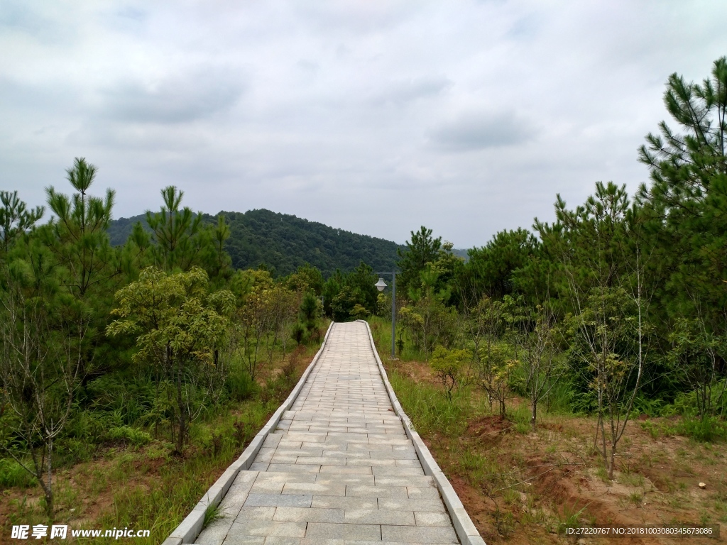 神光山登山路