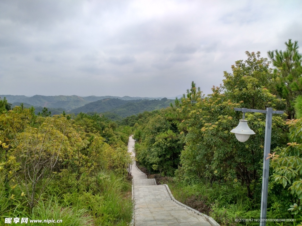 神光山登山道