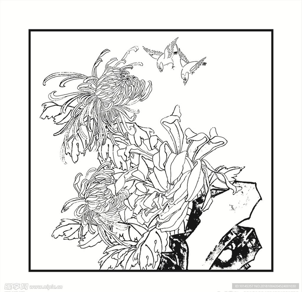 花鸟