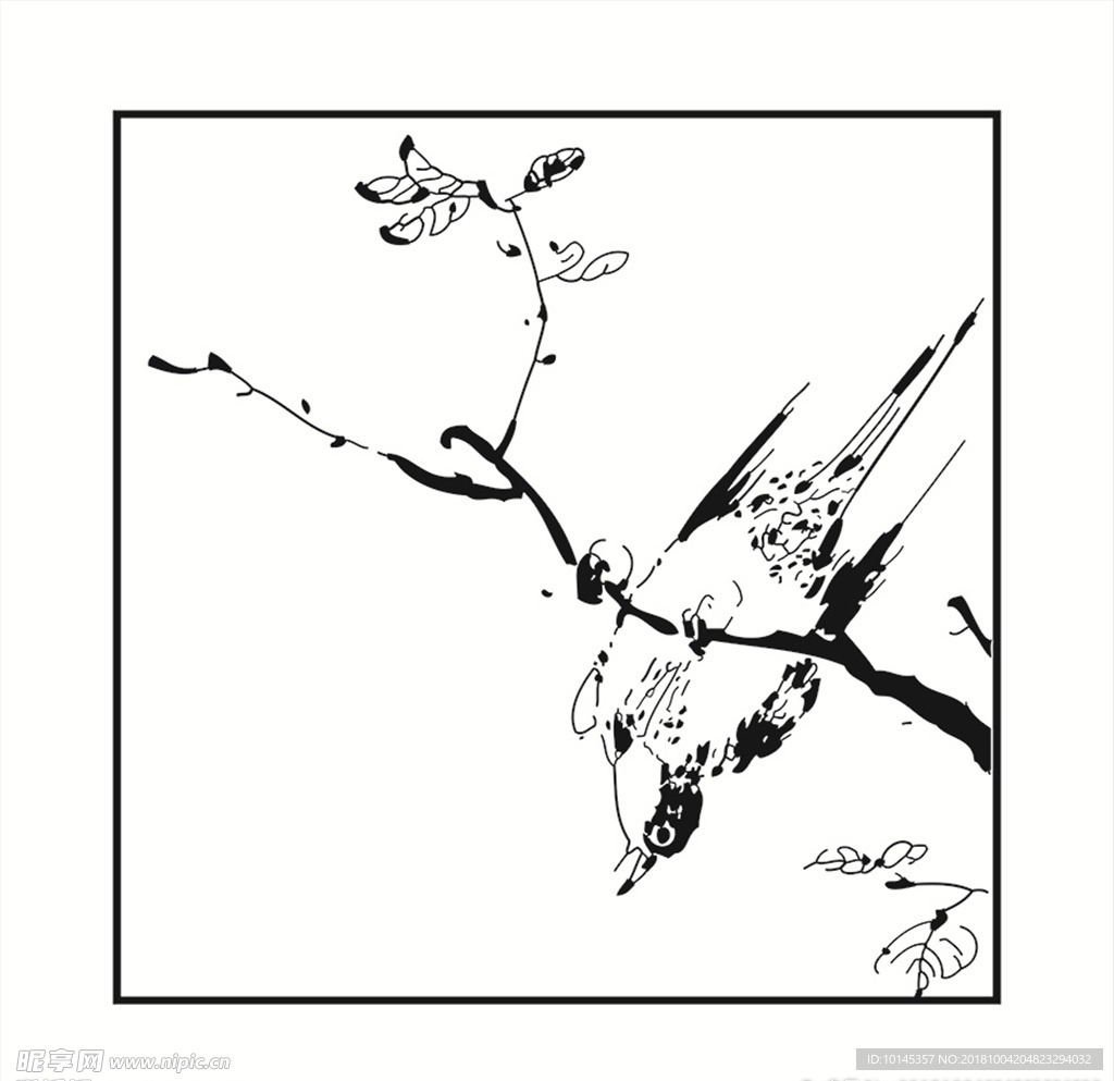 鸟