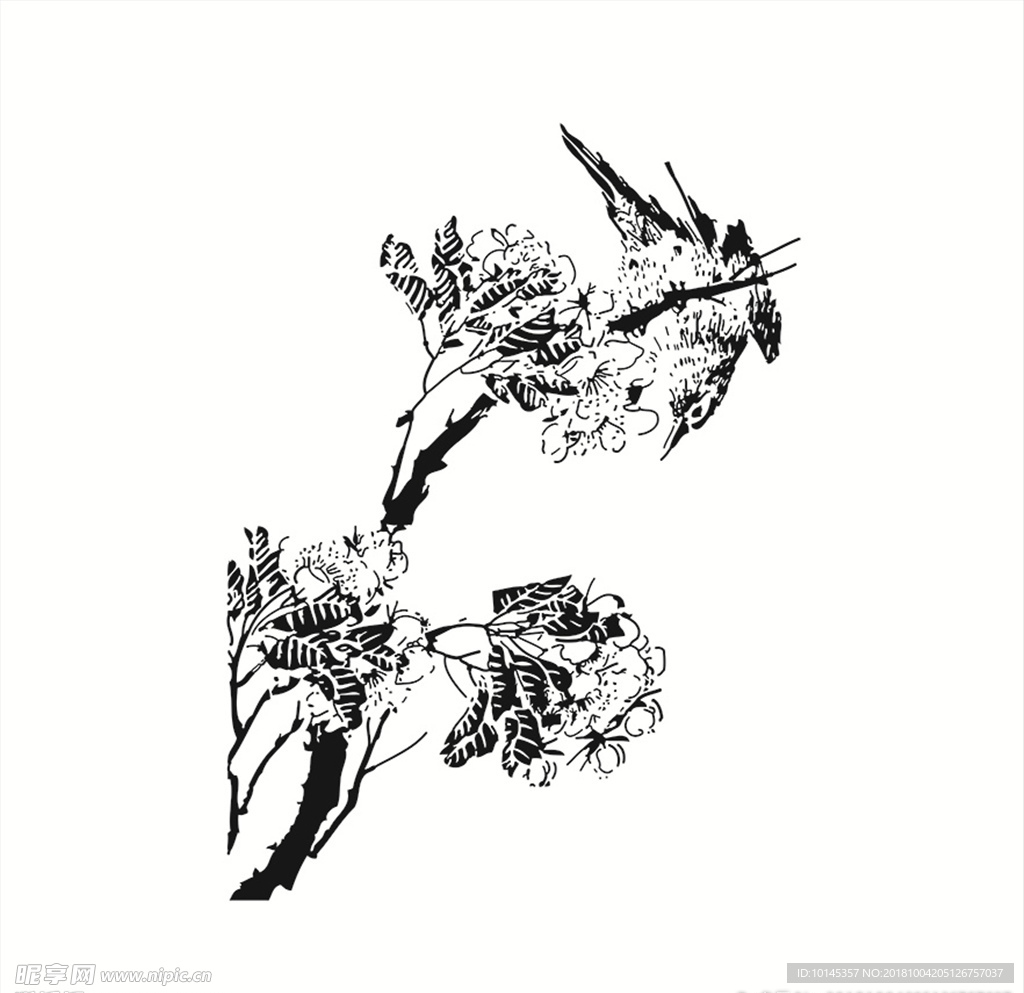 花鸟