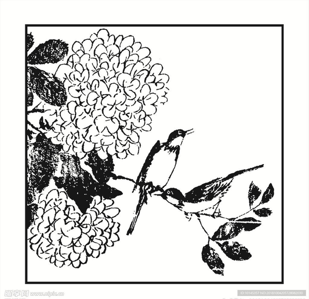 花鸟