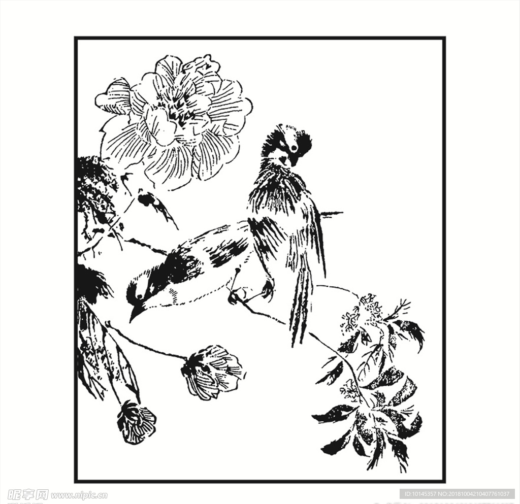 花鸟
