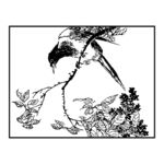 鸟