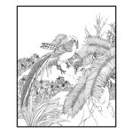 花鸟