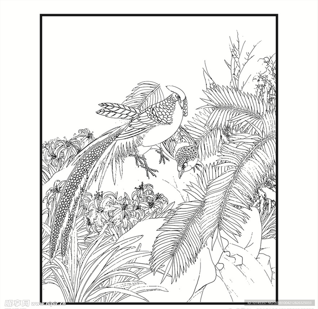 花鸟