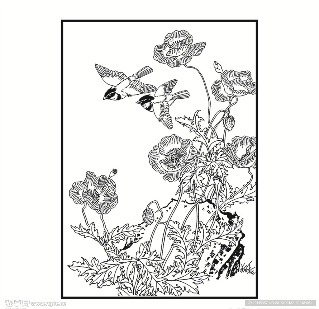 花鸟