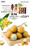 桂圆海报