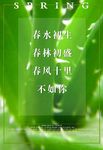 春风十里不如你