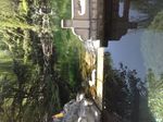泰山游
