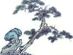 古树