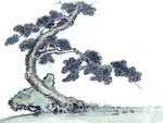 古树