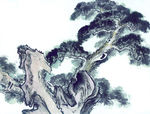 古树