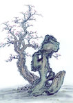 古树