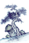 古树