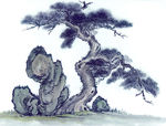 古树
